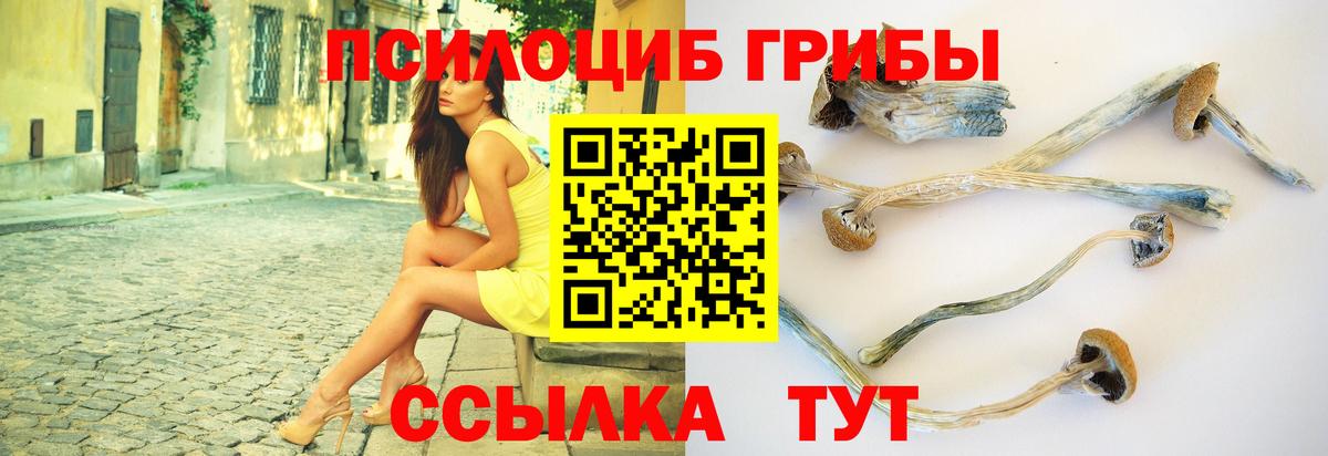 Галлюциногенные грибы Psilocybine cubensis  Галлюциногенные грибы MAGIC MUSHROOMS  Вход с VPN  Астрахань 